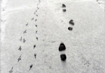 Огни