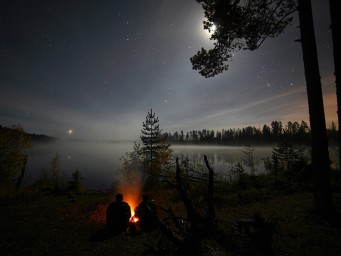 Упав в рюмашку