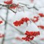 Память декабрьская…