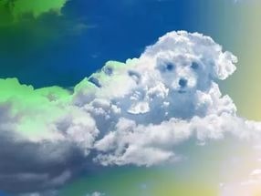 Юный художник