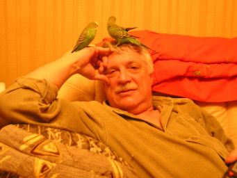 Жизнь с попугаями
