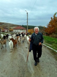 Пастух