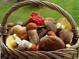 Подарок осени