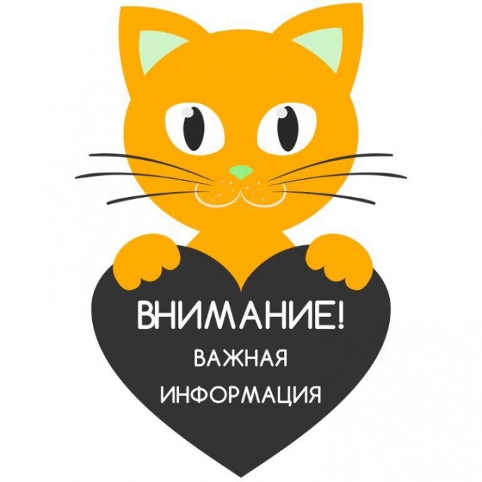 Правила размещения работ на экспресс-конкурс
