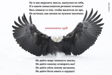 ветер из-за бугра...