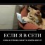 Дурь вселенская катилась в афоризмы...