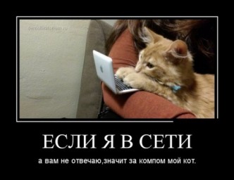 Дурь вселенская катилась в афоризмы...