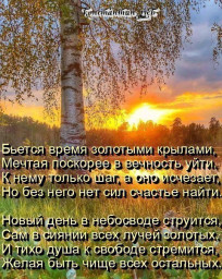 вы прекрасны...