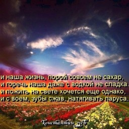 Последние афоризмы мая...