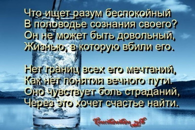 трудности выбора...