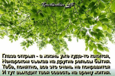безнадега или есть шанс?