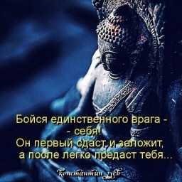 Последние афоризмы января...