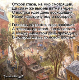 афоризмы жаркого июля...