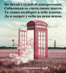 августовские афоризмы...