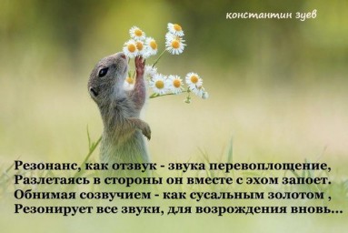 все пошло не так...