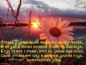 Отлет афоризмов в осень...