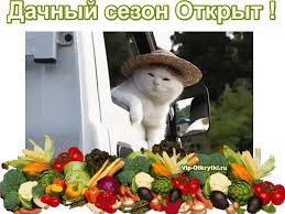 наконец-то, свершилось... наконец-то, свершилось...