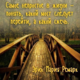 еще один плевок...