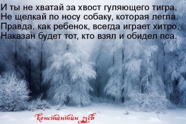 Вышедшие из леса афоризмы...