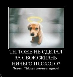 Вымокшие в лужах лета афоризмы...