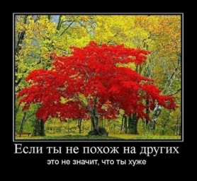 Обстоятельства...