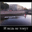 Август в дожде афоризмов...