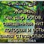 афоризмы уходят в весну...