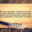 мы верим, что вернемся...