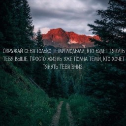 Афоризмы в раздумье...