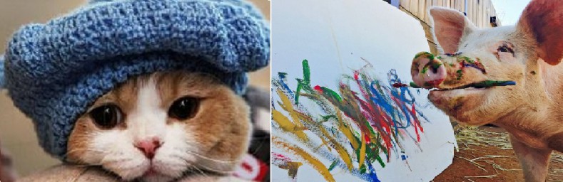 Худой мир лучше доброй ссоры