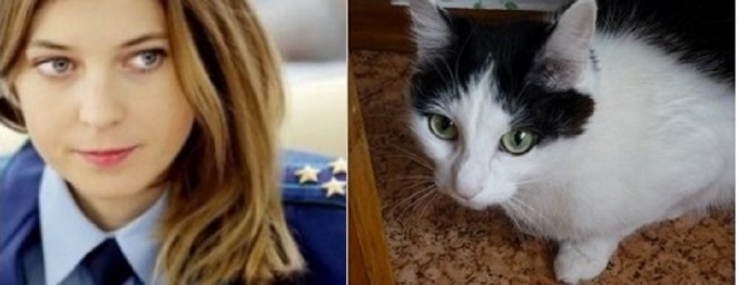 Кошкин суд