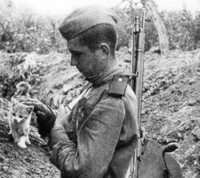 Рыжик