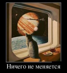Аннотация к повести Кошки Вайнер