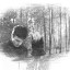 В одиночестве