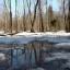Снег тает. Впереди у нас весна