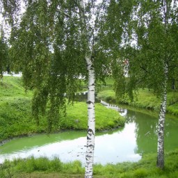 Смотрю из окна