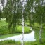 Смотрю из окна