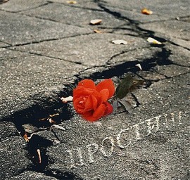 Прости