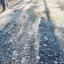 Сколько тайны в рисунках теней...