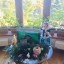 Радость похмельная Нового года...