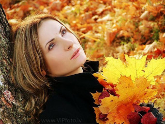 Улетают птицы... улетают