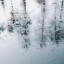 Морозец хладостью руки...