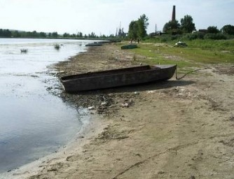 Я - без любви бродячий пёс