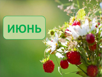Расписание работы сайта с 31 мая по 6 июня