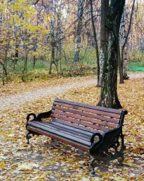 Осенняя любовь
