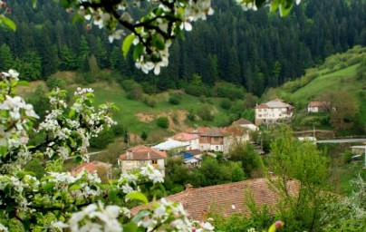 Кружит, кружит аист над селом