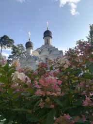 В Архангельском