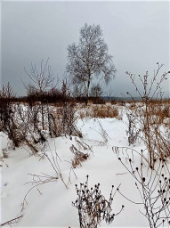 Первое утро