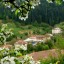 Кружит, кружит аист над селом