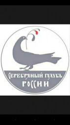 Авторы МСП (КМ) и ЛитКлуба в лонг-листе престижного конкурса